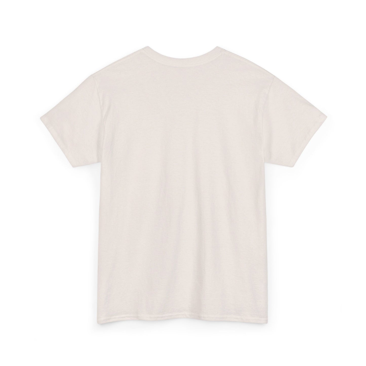 Gildan Heavy Unisex Tee - "I Love My Family Splash Day"