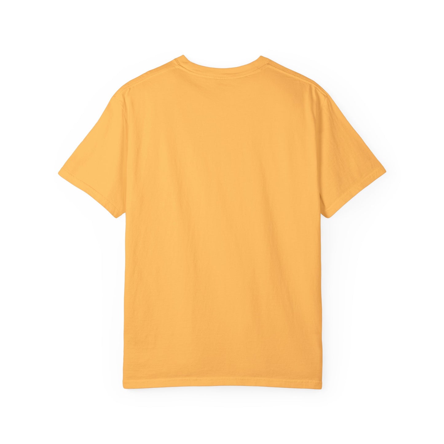 Blessed 2 fish & 5 Loaves T-Shirt ā Christian Design | Comfort Colors 1717