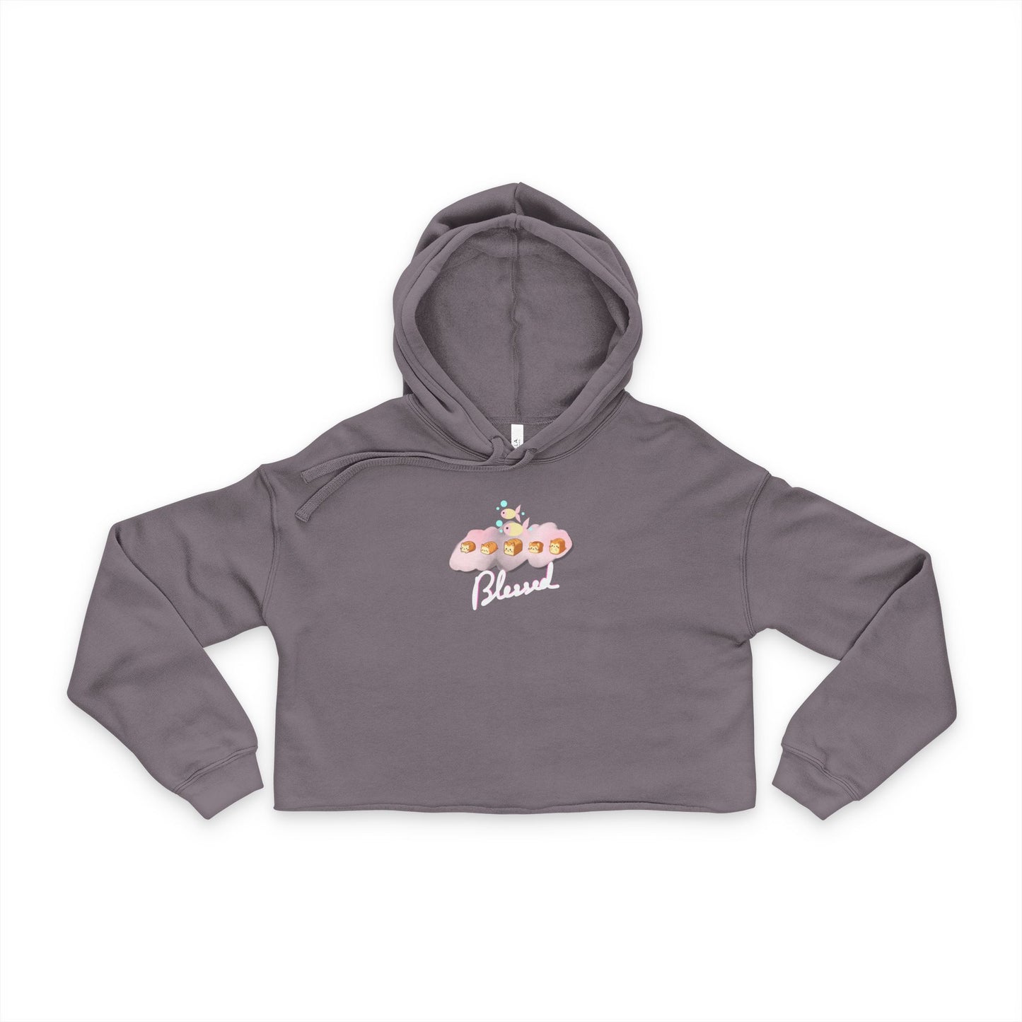 Cropped Blessed Hoodie Two Fish Five Loaves