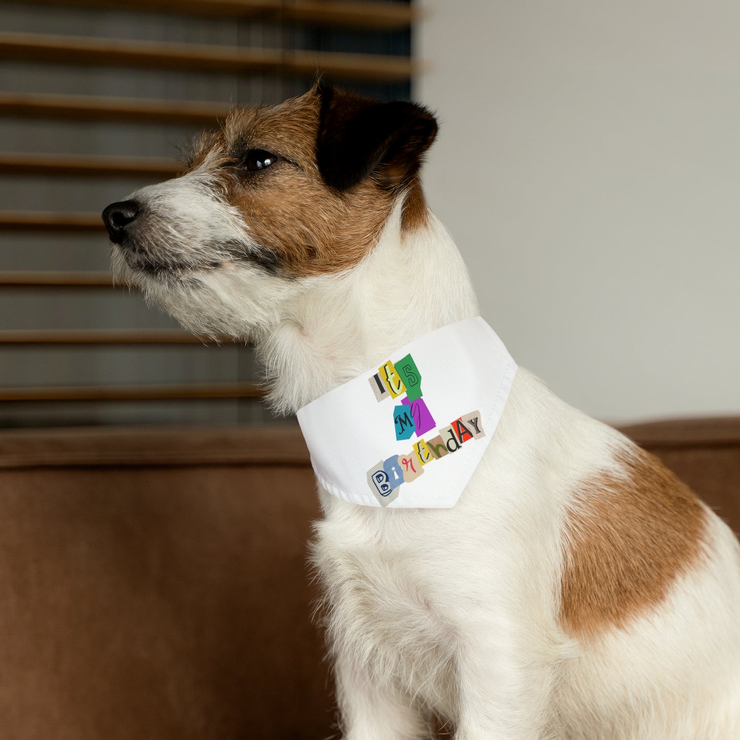 It's My Birthday Pet Bandana Collar