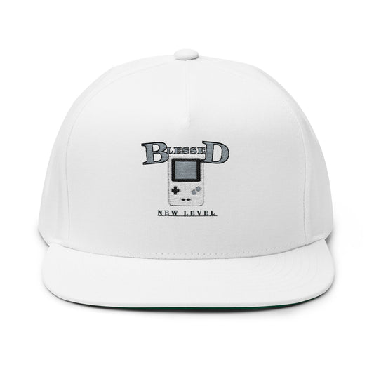 Vintage Gaming Flat Bill Cap - Blessed New Level Embroidery