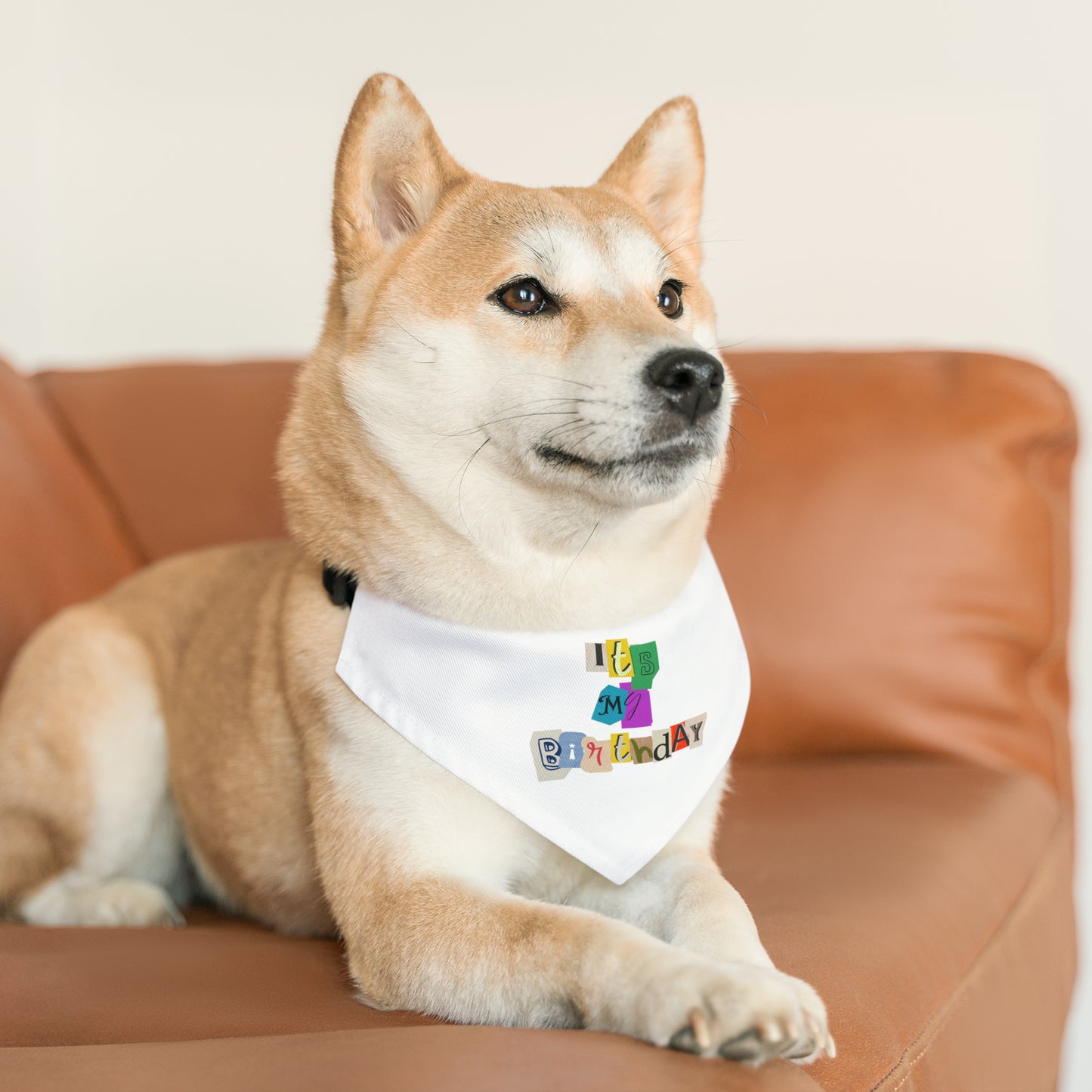 It's My Birthday Pet Bandana Collar