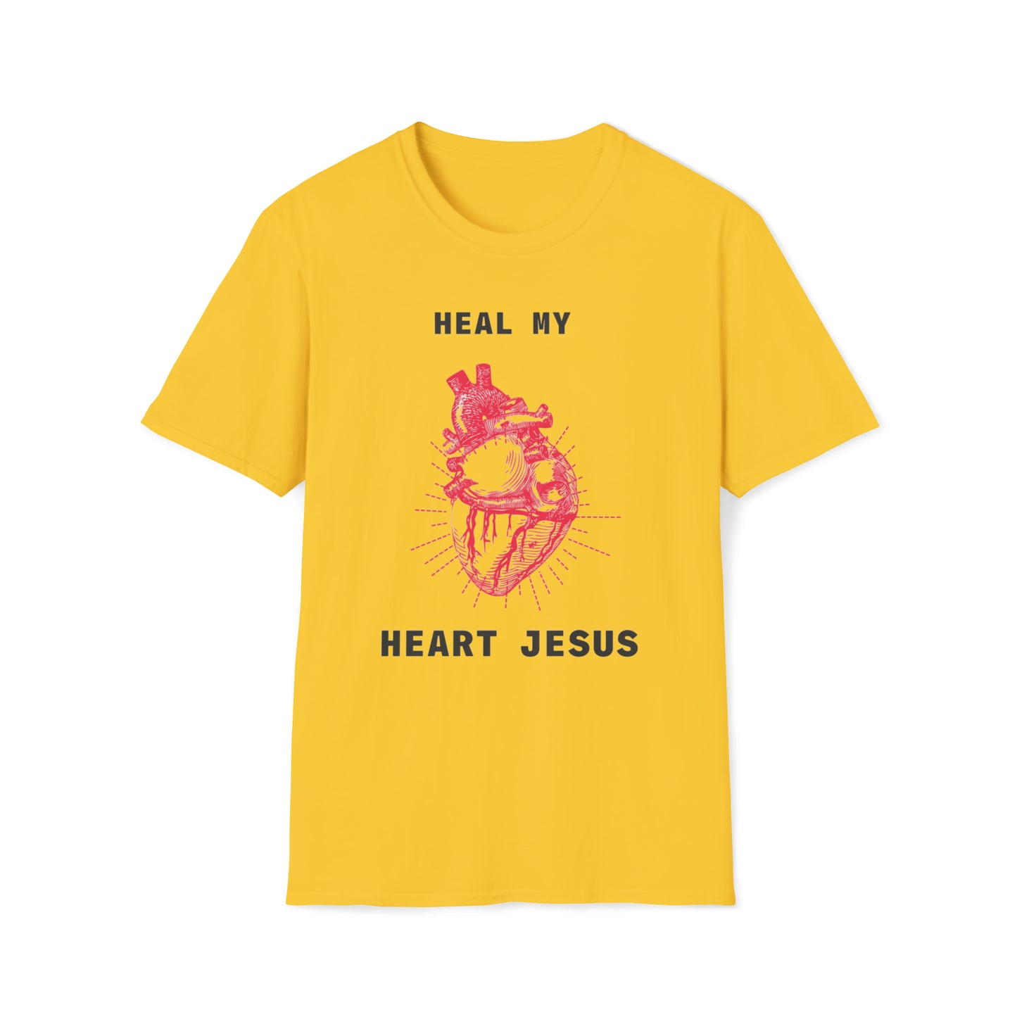 Heal Unisex Softstyle T-Shirt