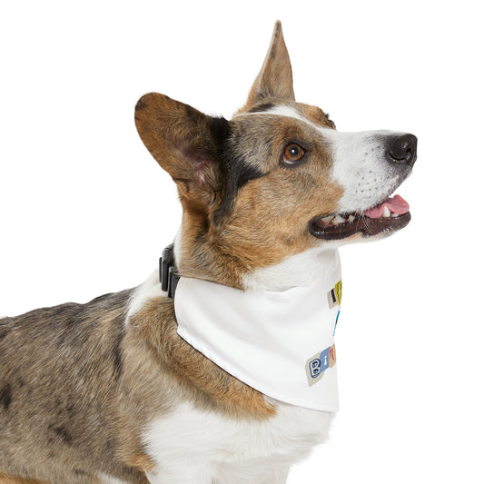 It's My Birthday Pet Bandana Collar