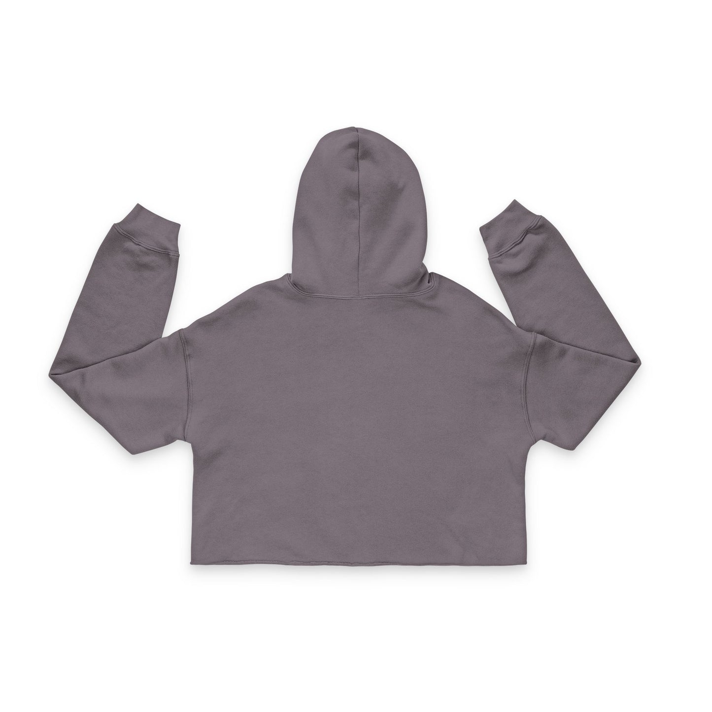 Cropped Blessed Hoodie Two Fish Five Loaves